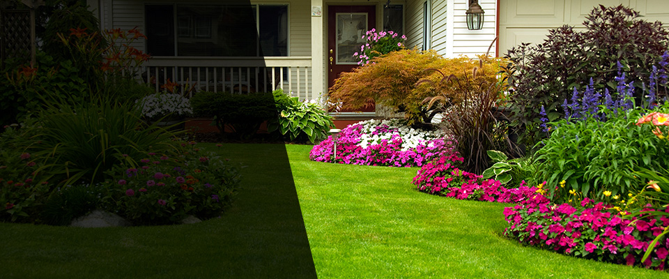 Harrison Landscapers
